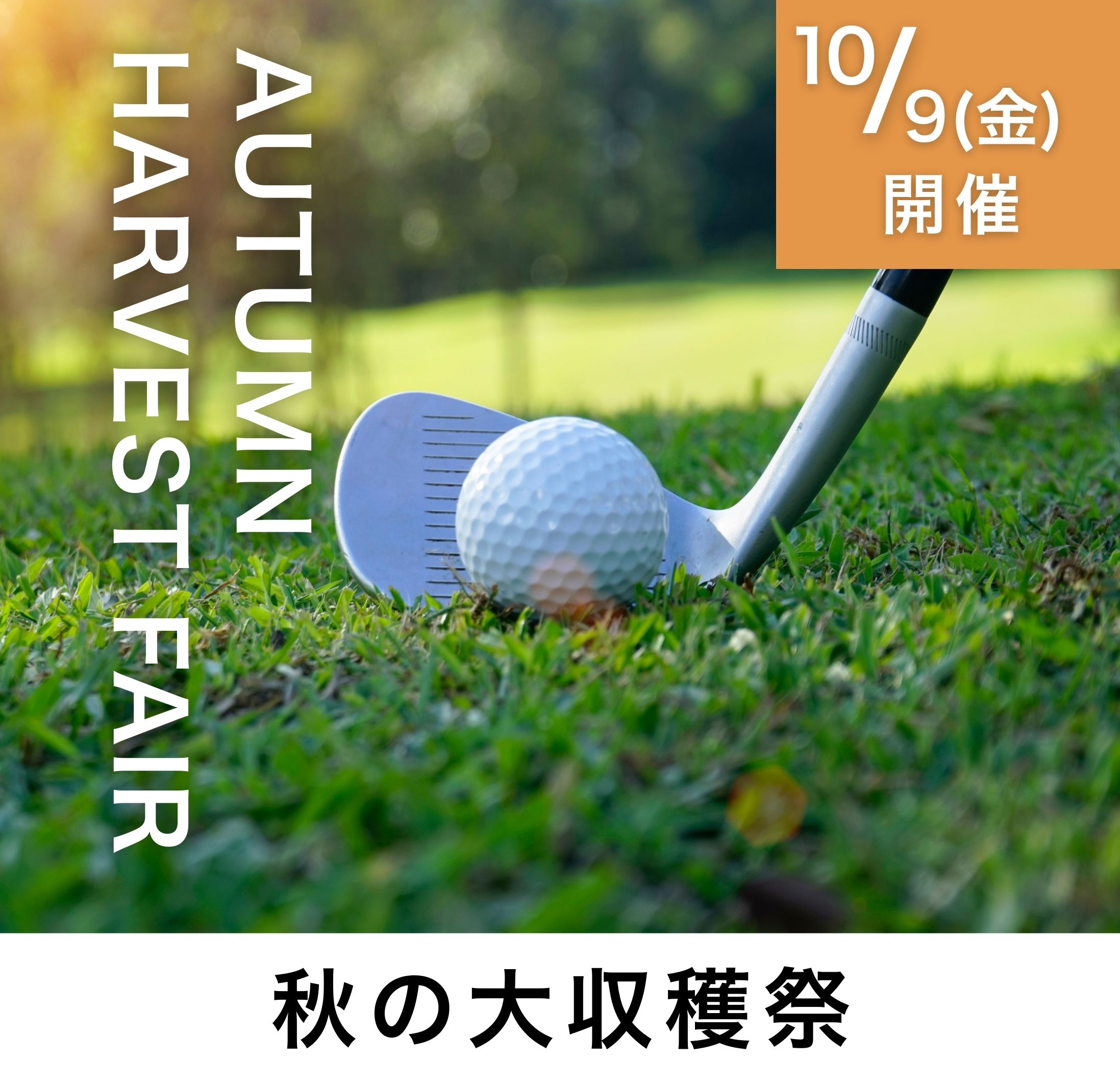 シャトレーゼカントリークラブ野辺山の公式サイトの画像(9/11)